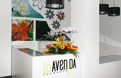 entrada showroom