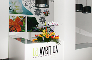 La Avenida